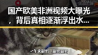 国产欧美非洲视频大曝光，背后真相逐渐浮出水面！