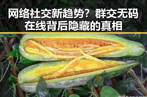 网络社交新趋势？群交无码在线背后隐藏的真相